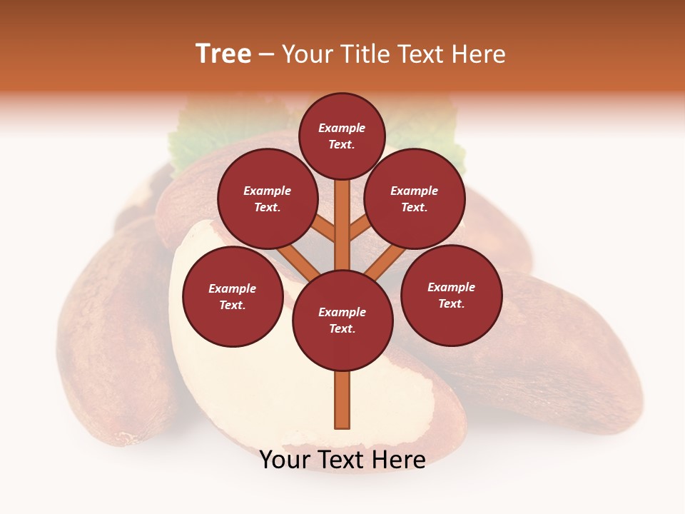 Brown Nut Ingredient PowerPoint Template
