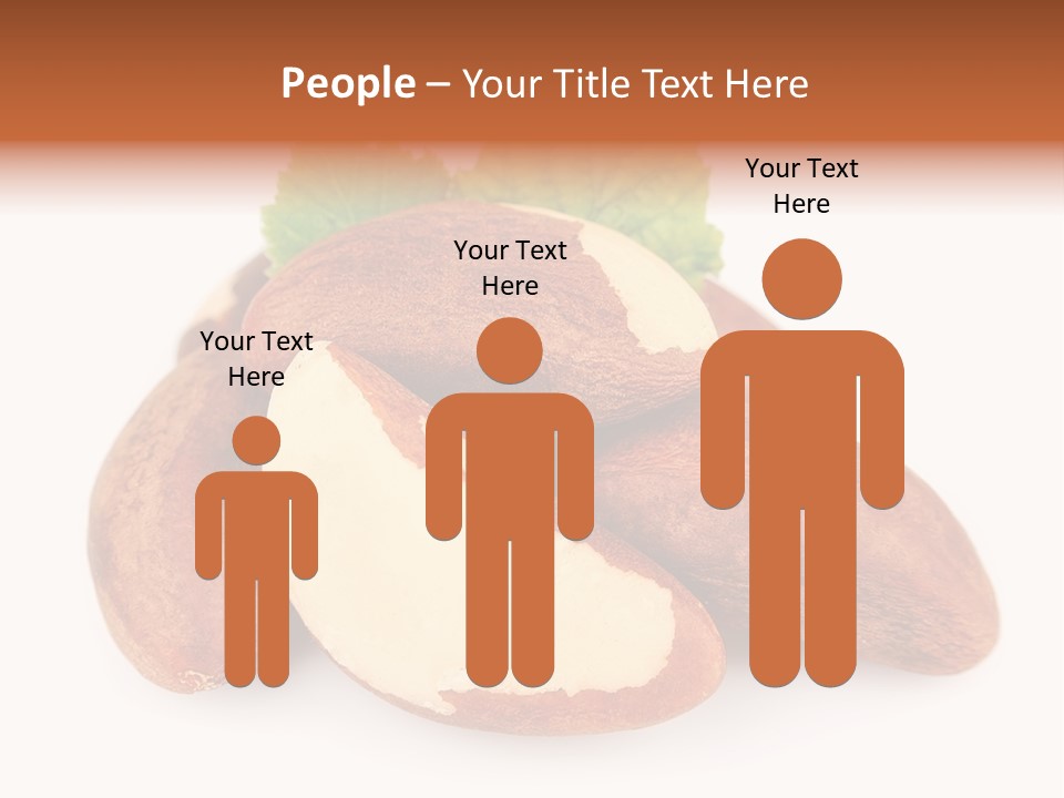 Brown Nut Ingredient PowerPoint Template