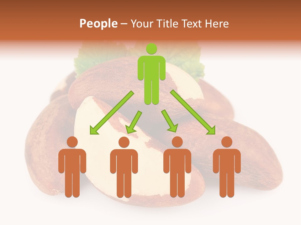 Brown Nut Ingredient PowerPoint Template
