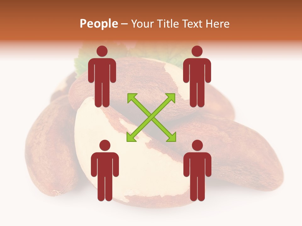 Brown Nut Ingredient PowerPoint Template