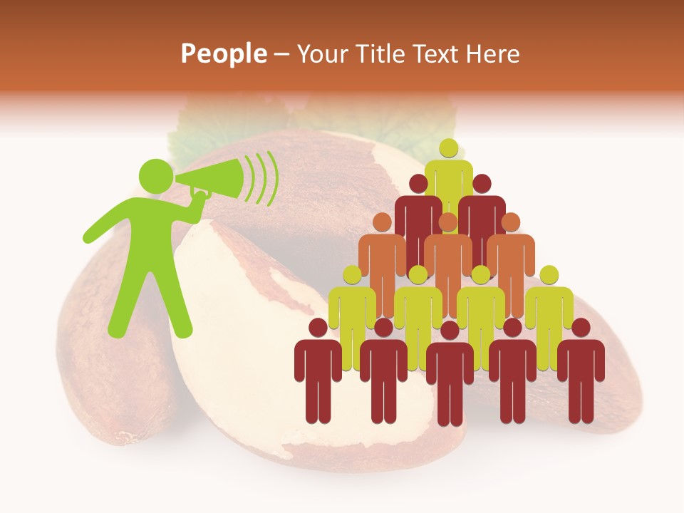 Brown Nut Ingredient PowerPoint Template