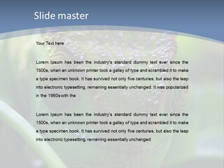 Chameleon Head Calumma Parsonii Chameleonmadagascar PowerPoint Template