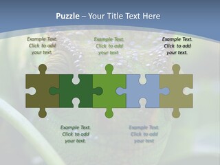 Chameleon Head Calumma Parsonii Chameleonmadagascar PowerPoint Template