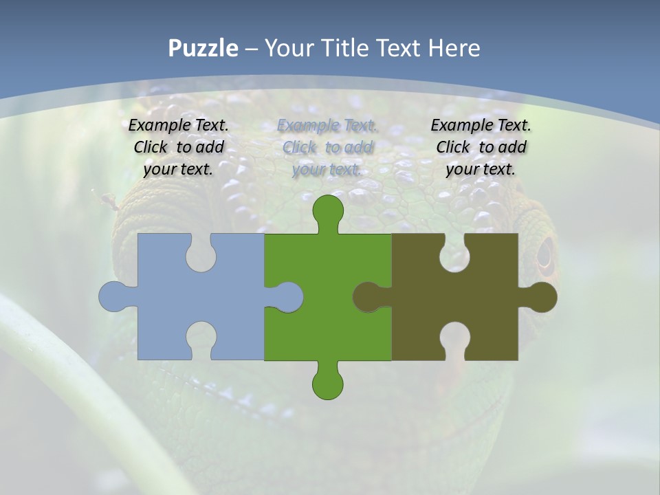 Chameleon Head Calumma Parsonii Chameleonmadagascar PowerPoint Template