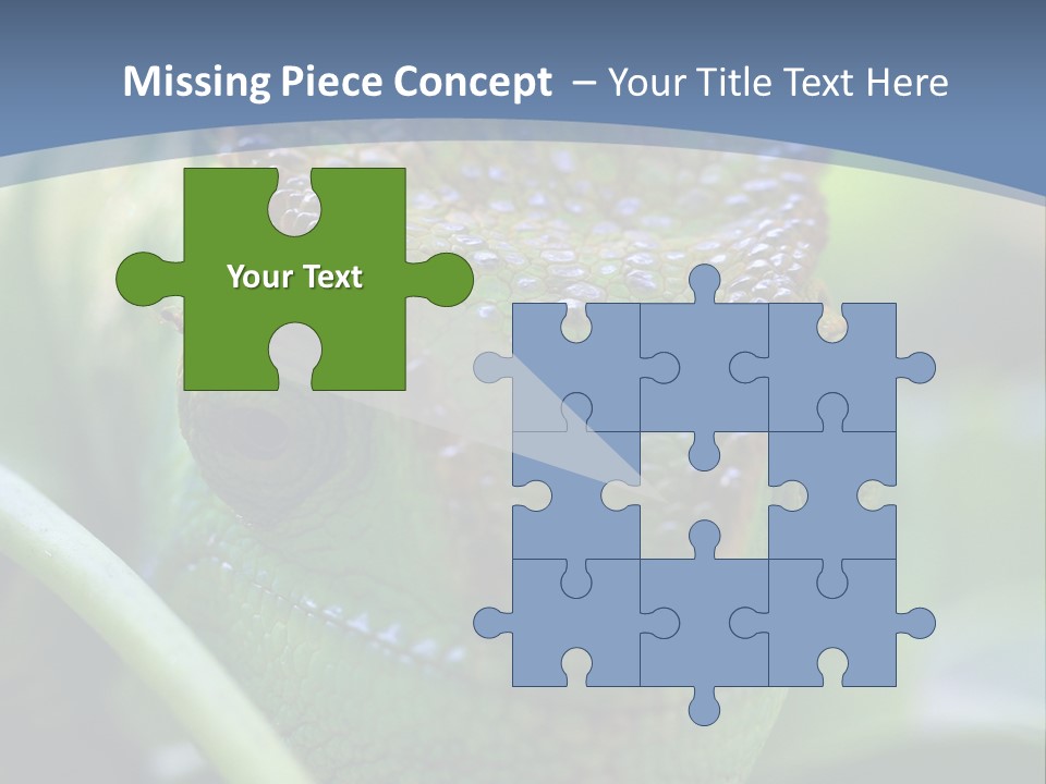 Chameleon Head Calumma Parsonii Chameleonmadagascar PowerPoint Template