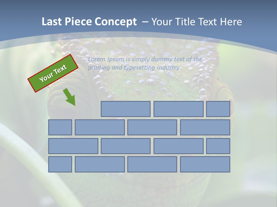 Chameleon Head Calumma Parsonii Chameleonmadagascar PowerPoint Template