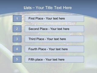 Chameleon Head Calumma Parsonii Chameleonmadagascar PowerPoint Template