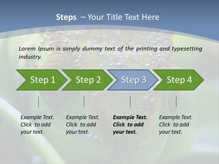 Chameleon Head Calumma Parsonii Chameleonmadagascar PowerPoint Template