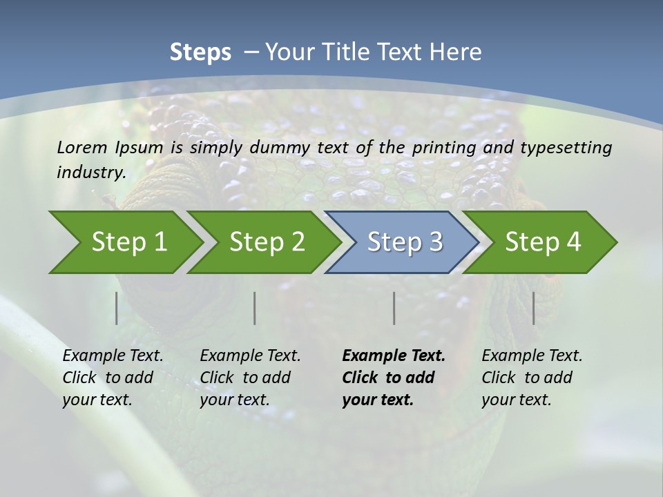 Chameleon Head Calumma Parsonii Chameleonmadagascar PowerPoint Template