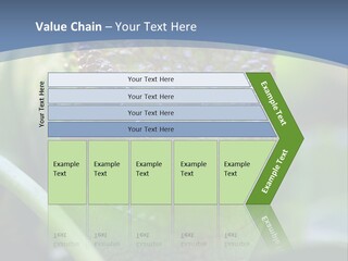 Chameleon Head Calumma Parsonii Chameleonmadagascar PowerPoint Template