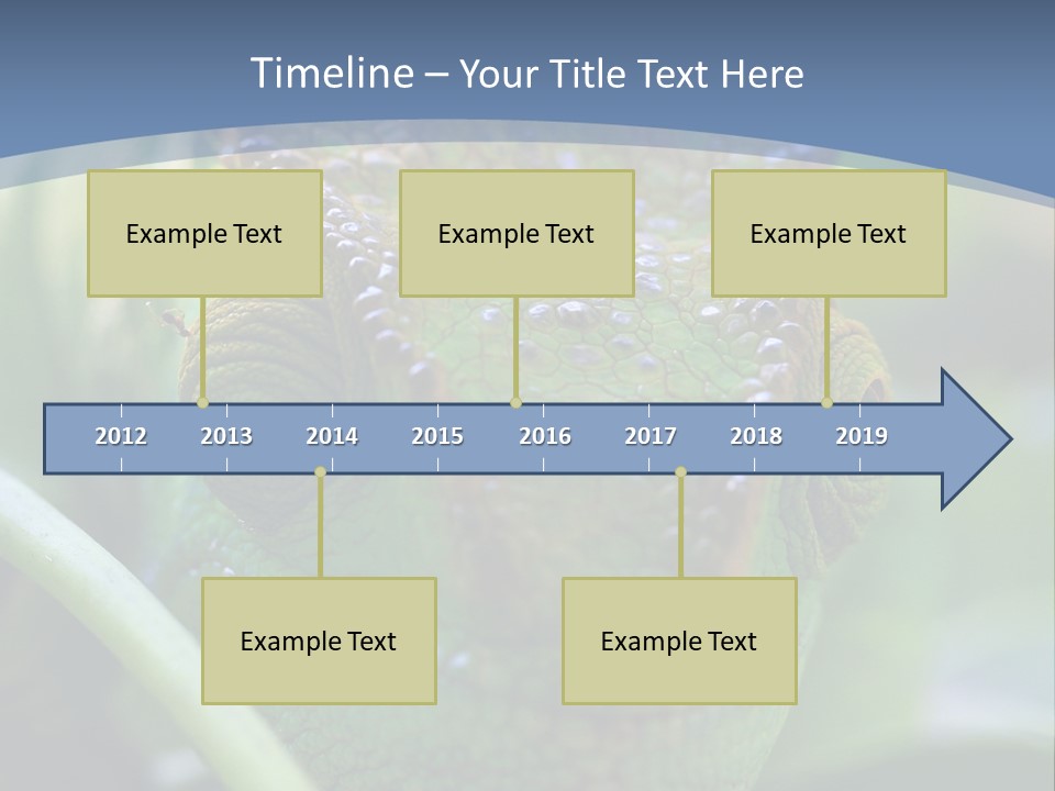 Chameleon Head Calumma Parsonii Chameleonmadagascar PowerPoint Template