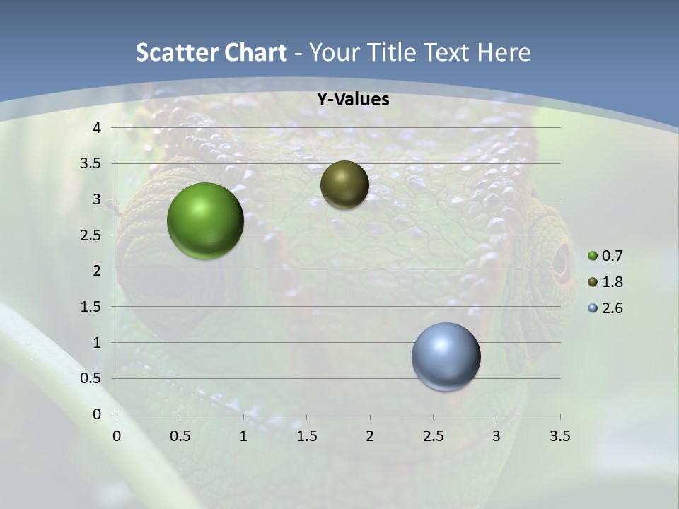 Chameleon Head Calumma Parsonii Chameleonmadagascar PowerPoint Template