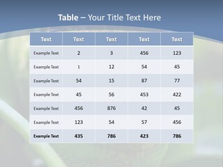 Chameleon Head Calumma Parsonii Chameleonmadagascar PowerPoint Template