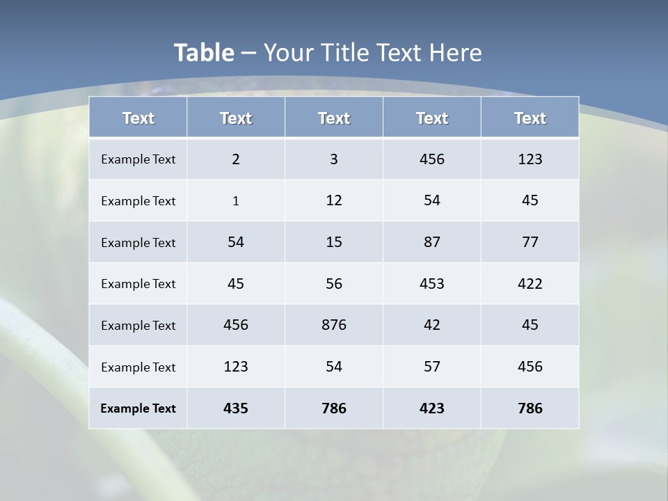 Chameleon Head Calumma Parsonii Chameleonmadagascar PowerPoint Template