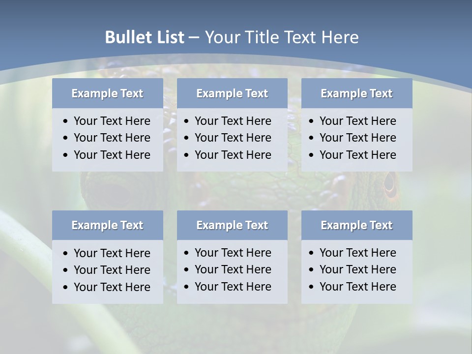 Chameleon Head Calumma Parsonii Chameleonmadagascar PowerPoint Template