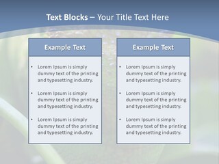 Chameleon Head Calumma Parsonii Chameleonmadagascar PowerPoint Template