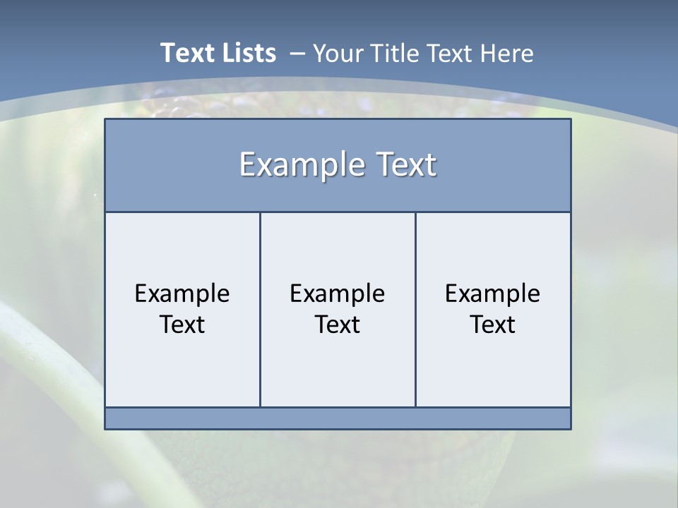 Chameleon Head Calumma Parsonii Chameleonmadagascar PowerPoint Template