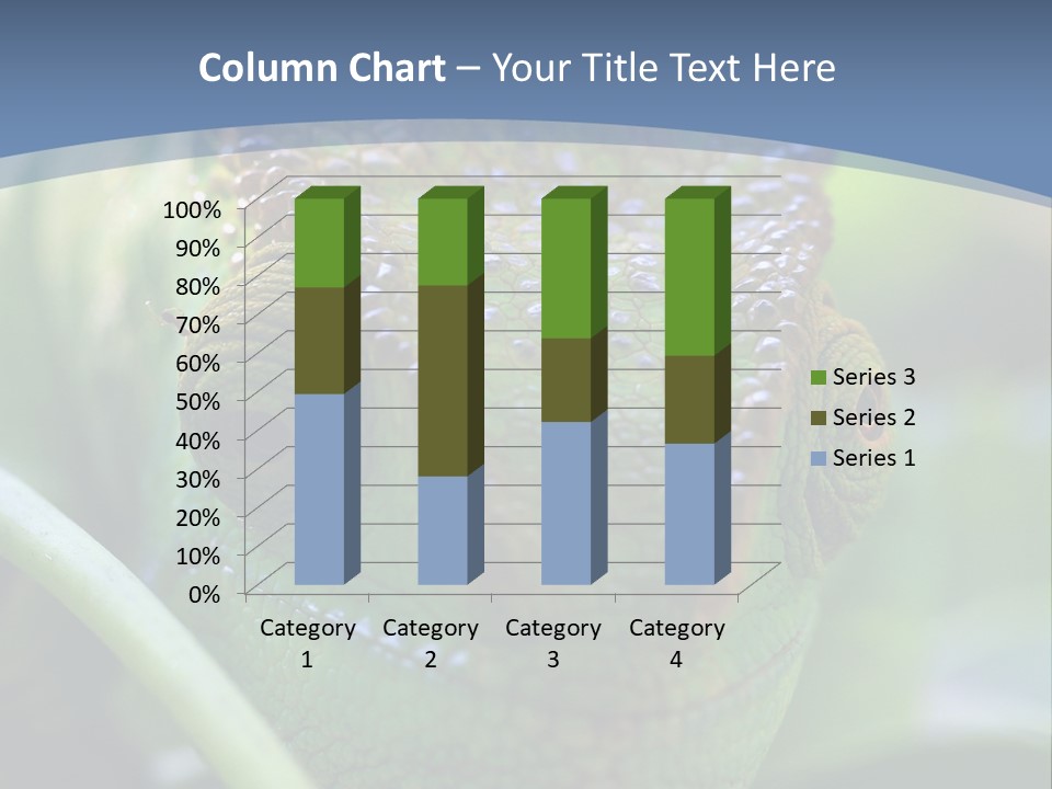 Chameleon Head Calumma Parsonii Chameleonmadagascar PowerPoint Template