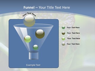 Chameleon Head Calumma Parsonii Chameleonmadagascar PowerPoint Template