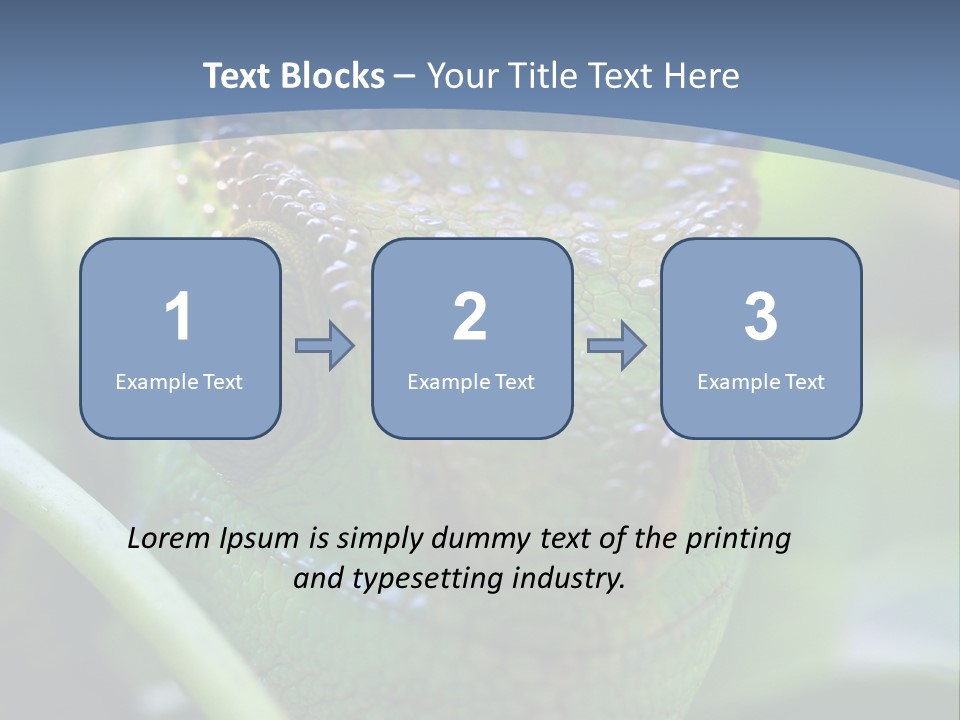 Chameleon Head Calumma Parsonii Chameleonmadagascar PowerPoint Template