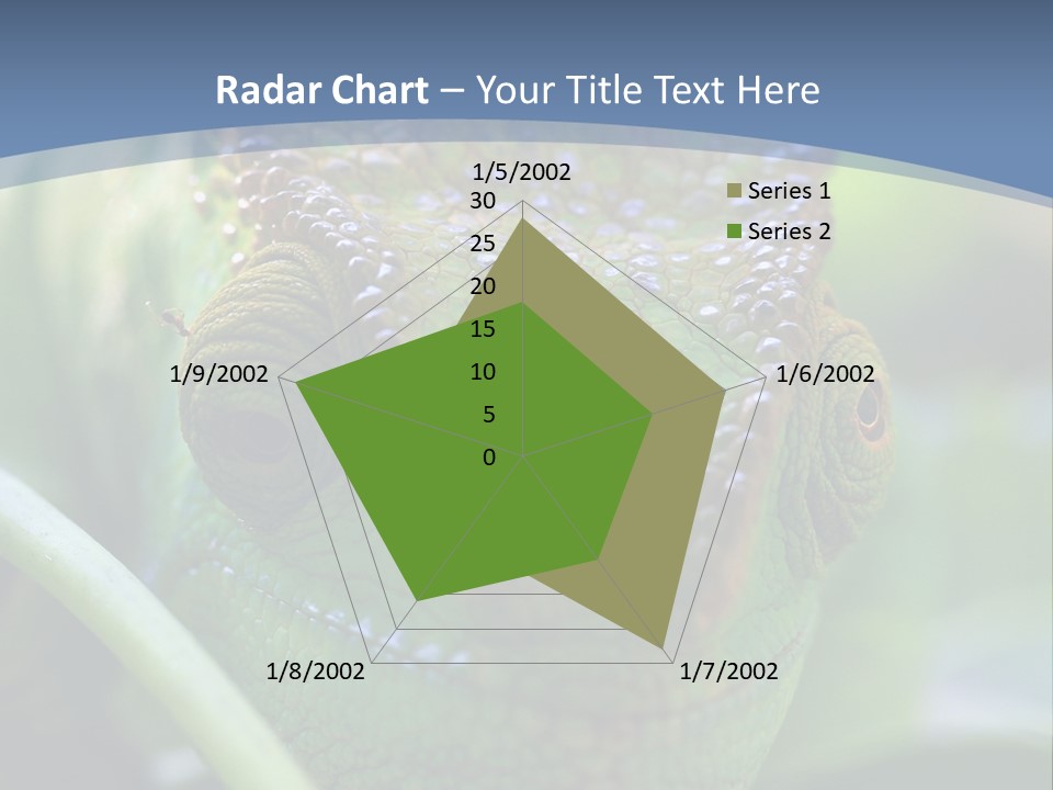 Chameleon Head Calumma Parsonii Chameleonmadagascar PowerPoint Template