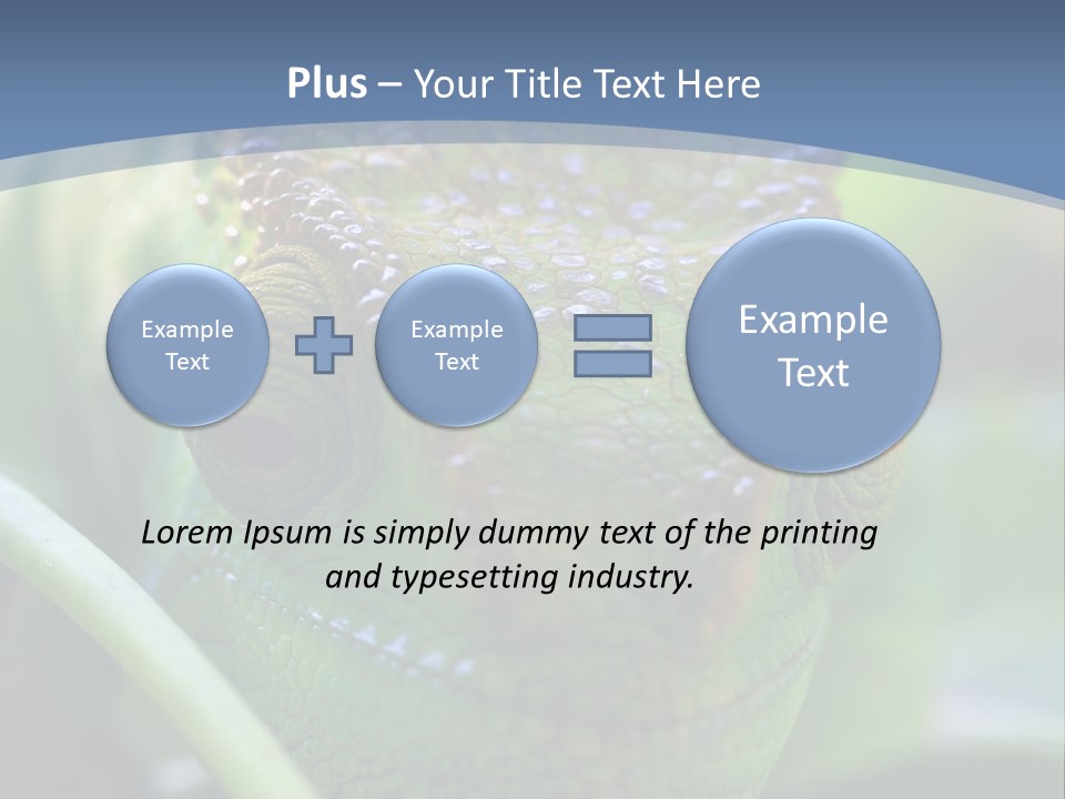 Chameleon Head Calumma Parsonii Chameleonmadagascar PowerPoint Template