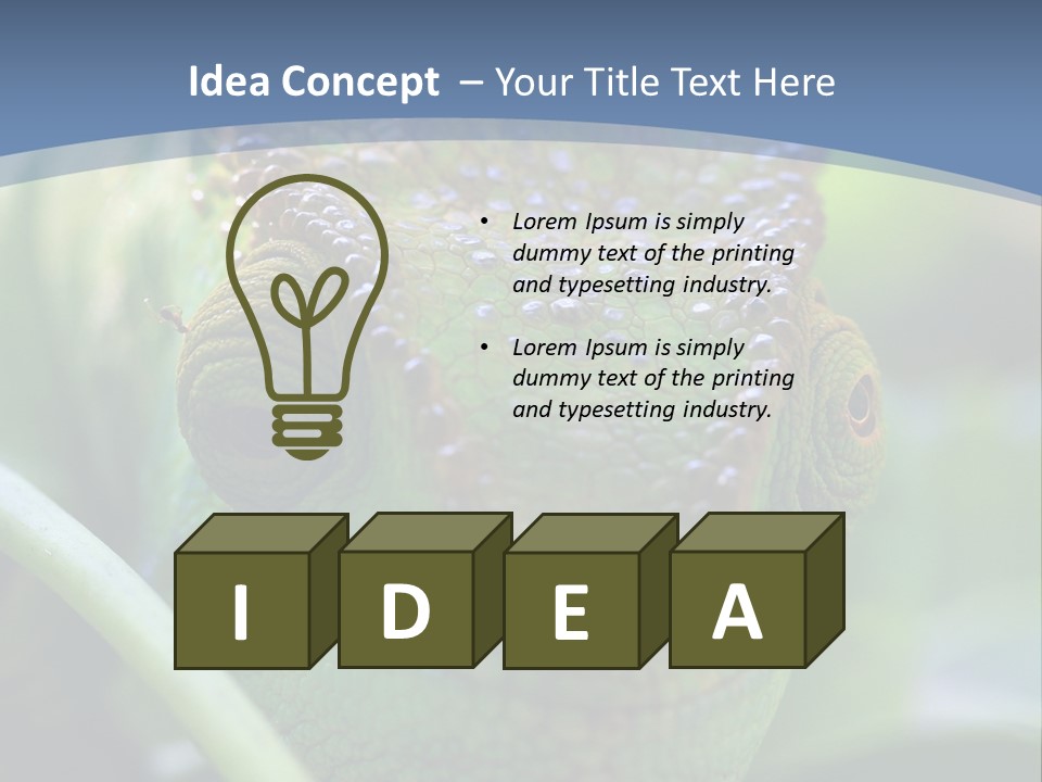 Chameleon Head Calumma Parsonii Chameleonmadagascar PowerPoint Template