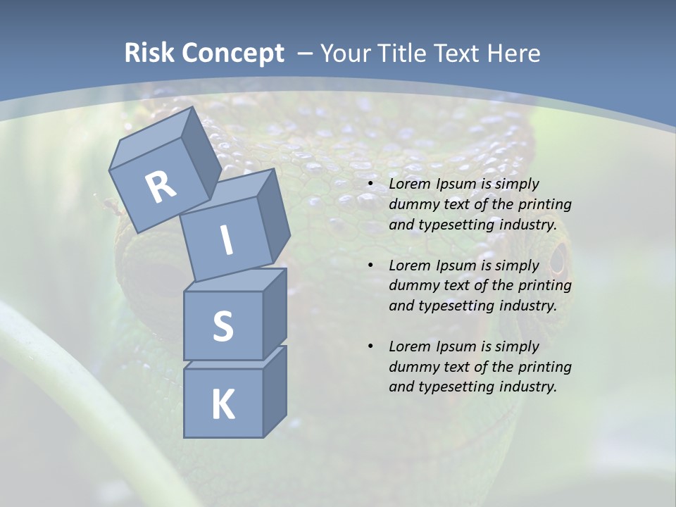 Chameleon Head Calumma Parsonii Chameleonmadagascar PowerPoint Template