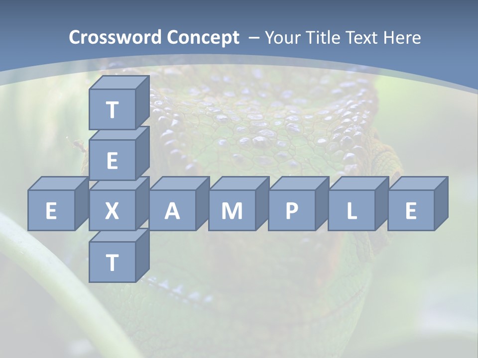 Chameleon Head Calumma Parsonii Chameleonmadagascar PowerPoint Template