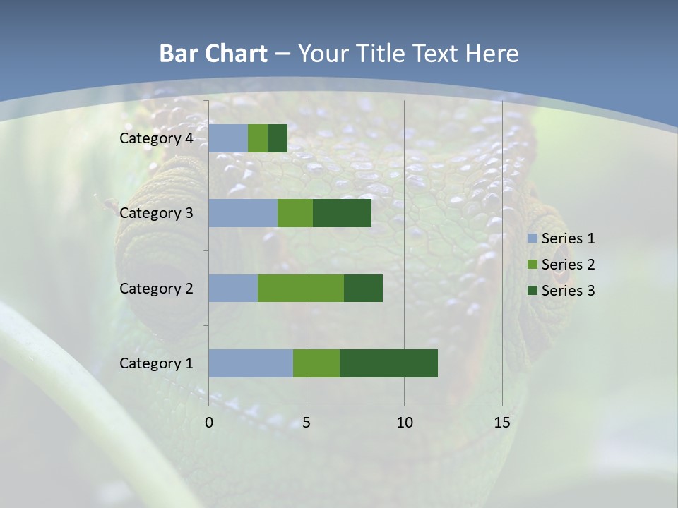 Chameleon Head Calumma Parsonii Chameleonmadagascar PowerPoint Template