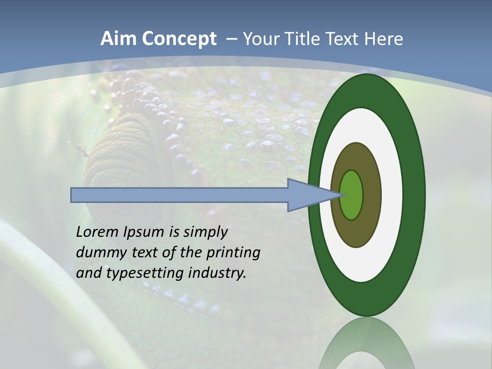 Chameleon Head Calumma Parsonii Chameleonmadagascar PowerPoint Template