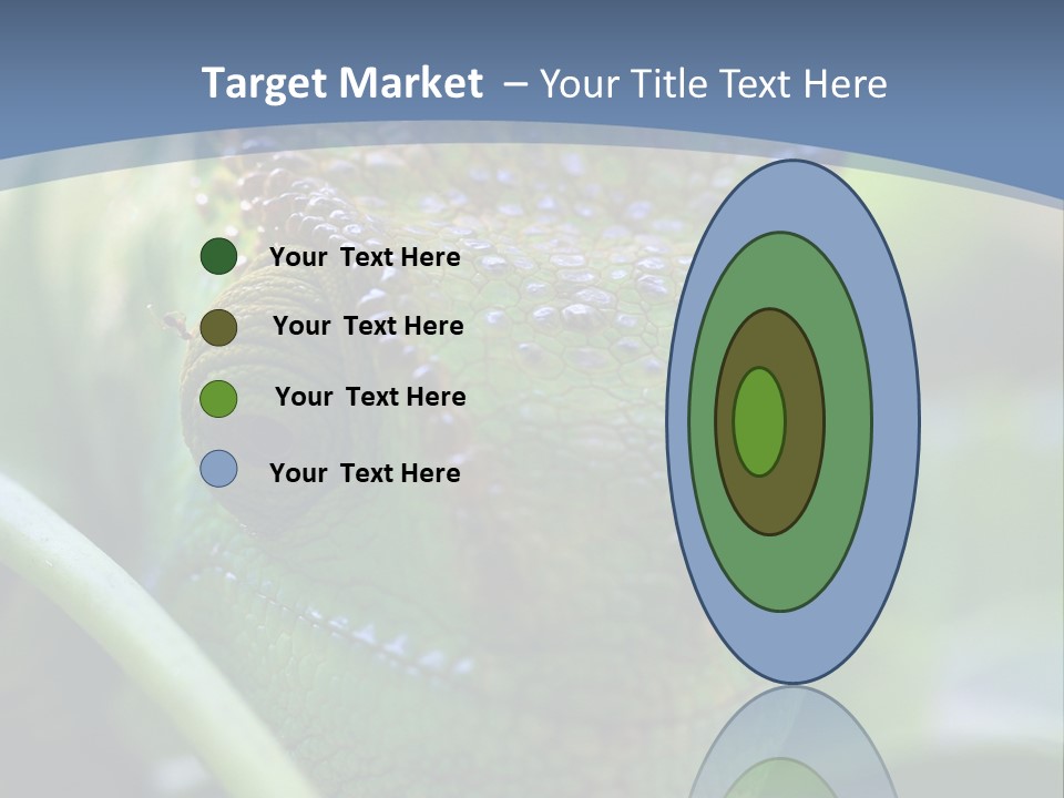 Chameleon Head Calumma Parsonii Chameleonmadagascar PowerPoint Template