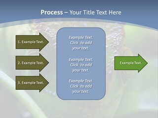 Chameleon Head Calumma Parsonii Chameleonmadagascar PowerPoint Template