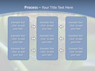 Chameleon Head Calumma Parsonii Chameleonmadagascar PowerPoint Template