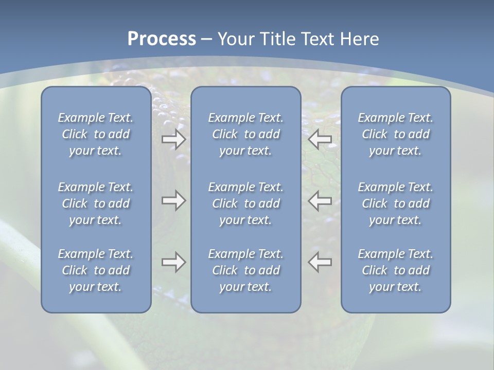 Chameleon Head Calumma Parsonii Chameleonmadagascar PowerPoint Template