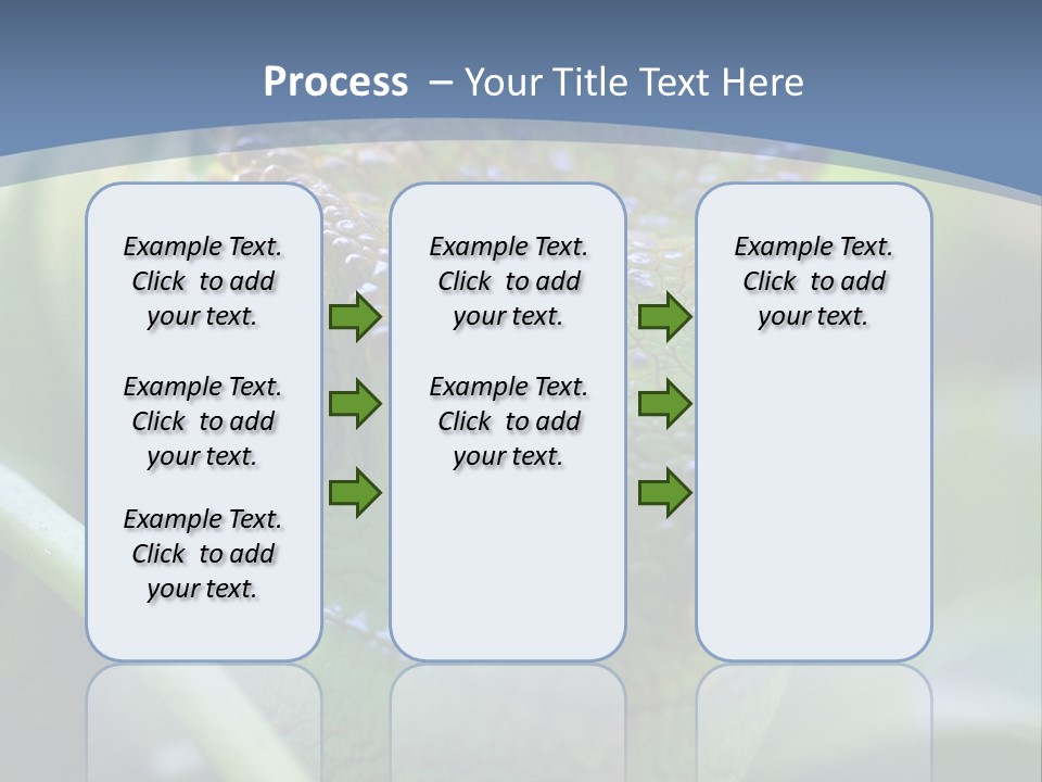 Chameleon Head Calumma Parsonii Chameleonmadagascar PowerPoint Template