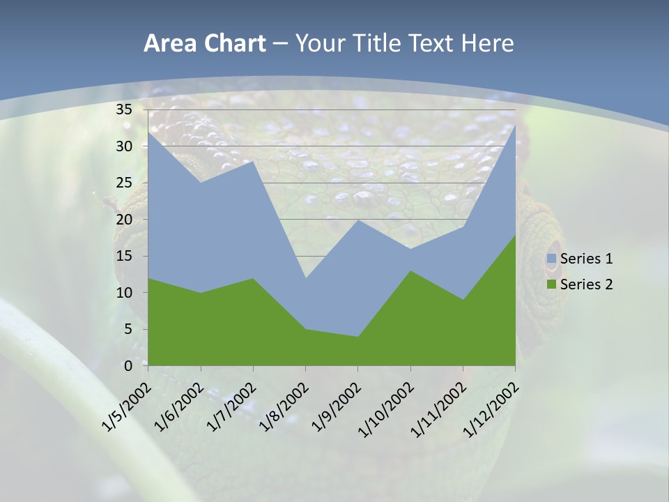 Chameleon Head Calumma Parsonii Chameleonmadagascar PowerPoint Template