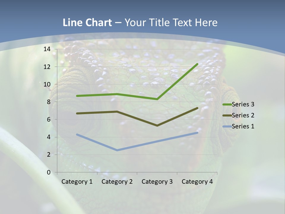 Chameleon Head Calumma Parsonii Chameleonmadagascar PowerPoint Template