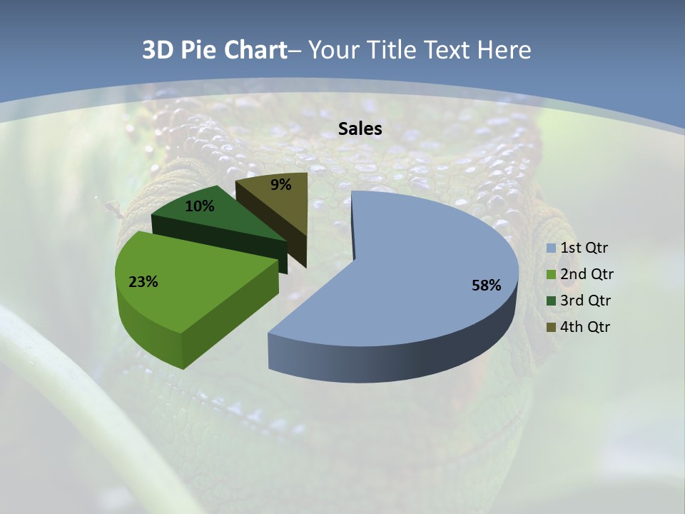 Chameleon Head Calumma Parsonii Chameleonmadagascar PowerPoint Template