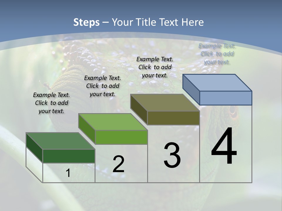 Chameleon Head Calumma Parsonii Chameleonmadagascar PowerPoint Template