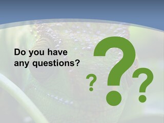 Chameleon Head Calumma Parsonii Chameleonmadagascar PowerPoint Template