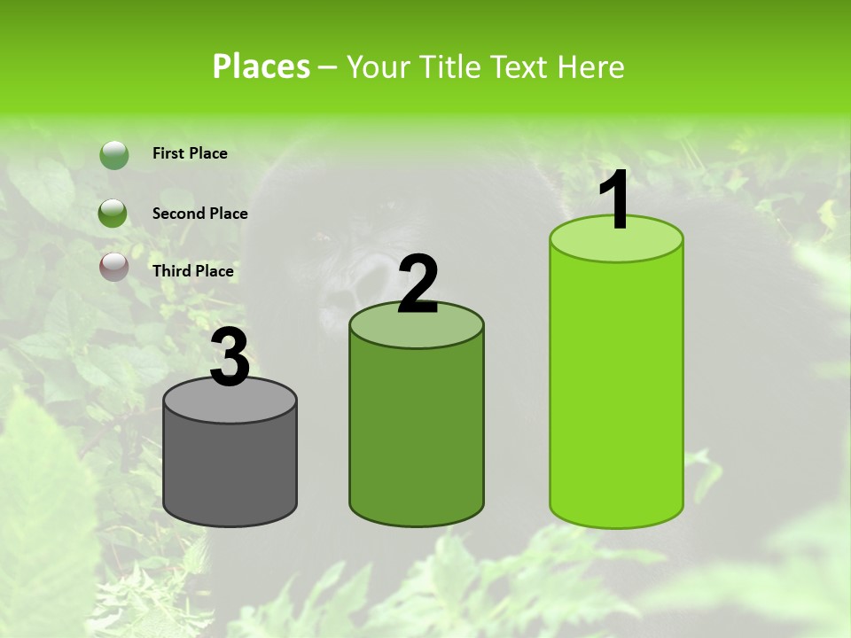 Virunga Gorilla Face Gorilla PowerPoint Template