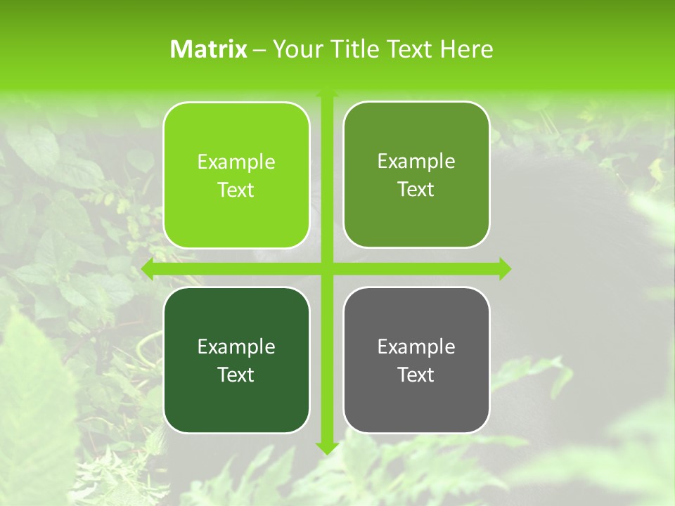 Virunga Gorilla Face Gorilla PowerPoint Template