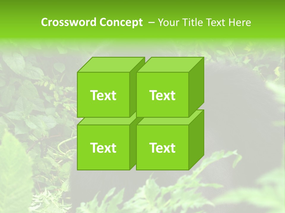 Virunga Gorilla Face Gorilla PowerPoint Template