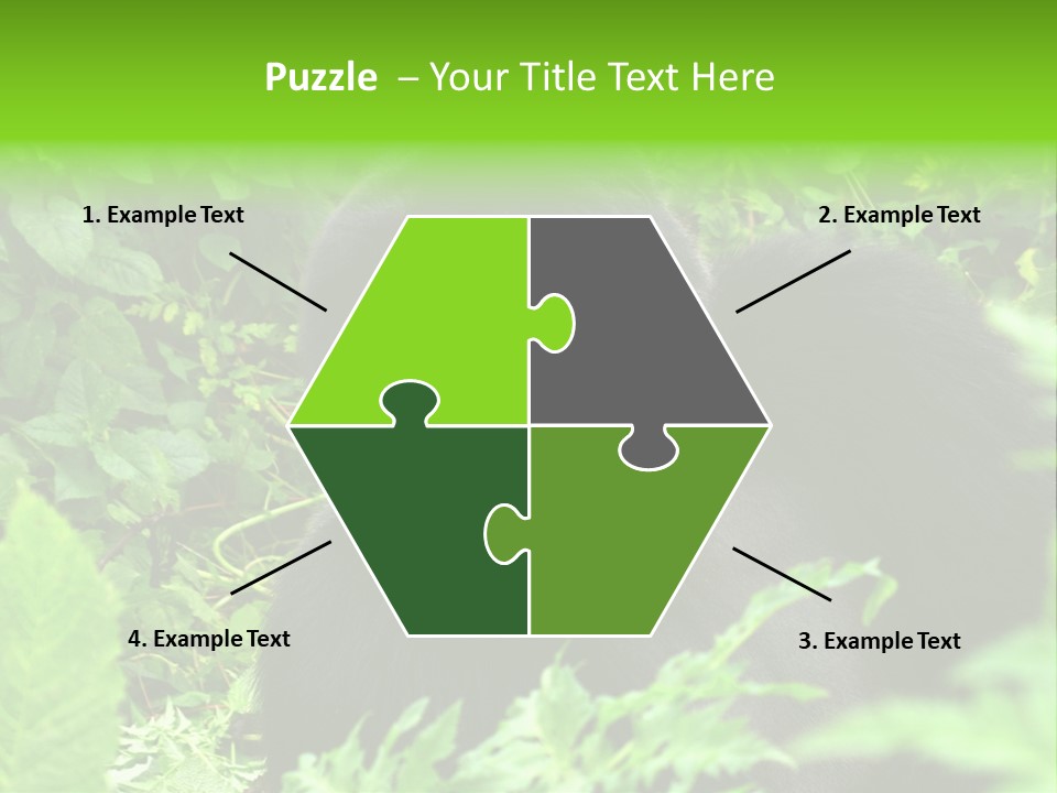 Virunga Gorilla Face Gorilla PowerPoint Template