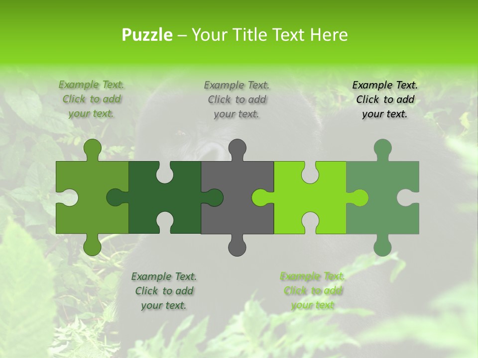 Virunga Gorilla Face Gorilla PowerPoint Template