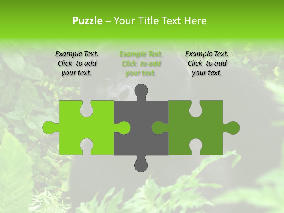 Virunga Gorilla Face Gorilla PowerPoint Template