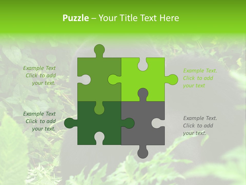 Virunga Gorilla Face Gorilla PowerPoint Template