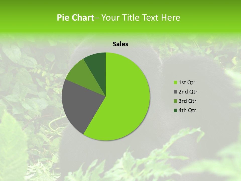 Virunga Gorilla Face Gorilla PowerPoint Template