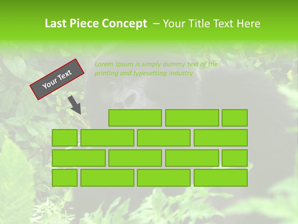 Virunga Gorilla Face Gorilla PowerPoint Template